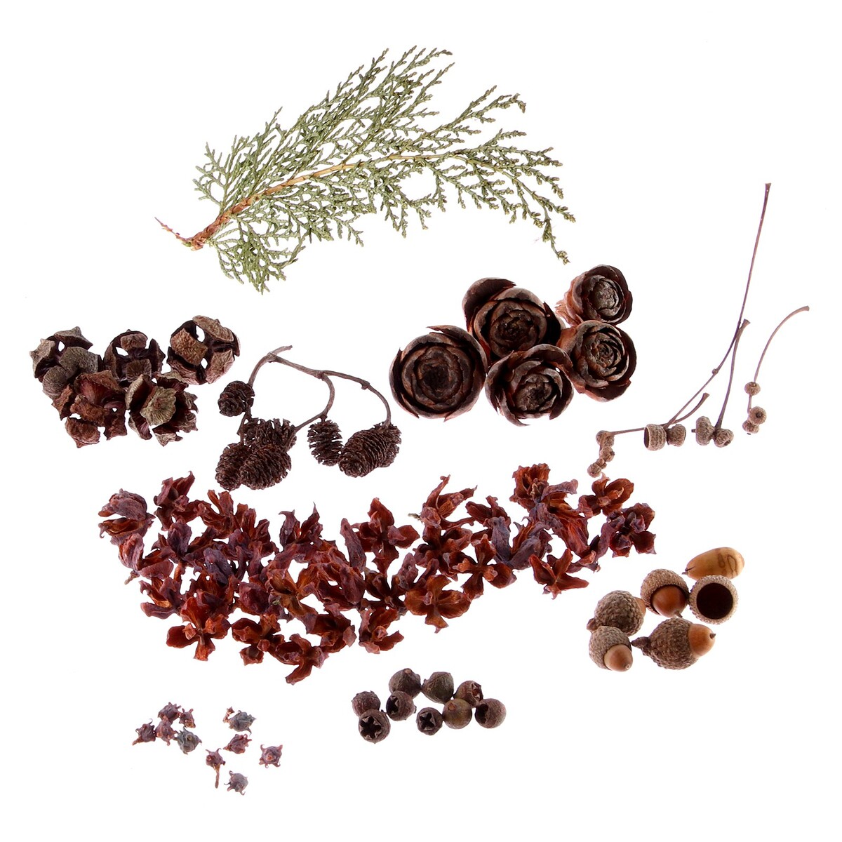 

Набор для творчества из маленьких шишек, для эпоксидной смолы, Коричневый