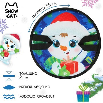 Ледянка, 35 х 35 см, толщина 2 см