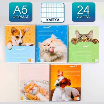 Тетрадь а5, 24 листа на скрепке в клетку