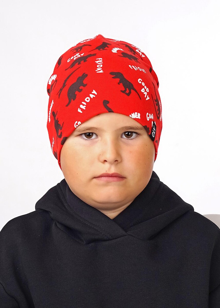 фото Шапка clever