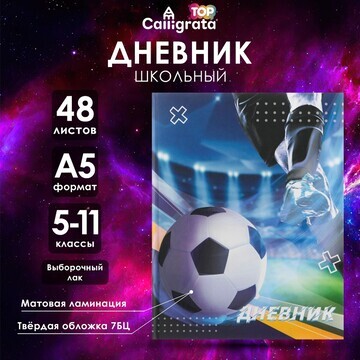 Дневник для 5-11 классов,