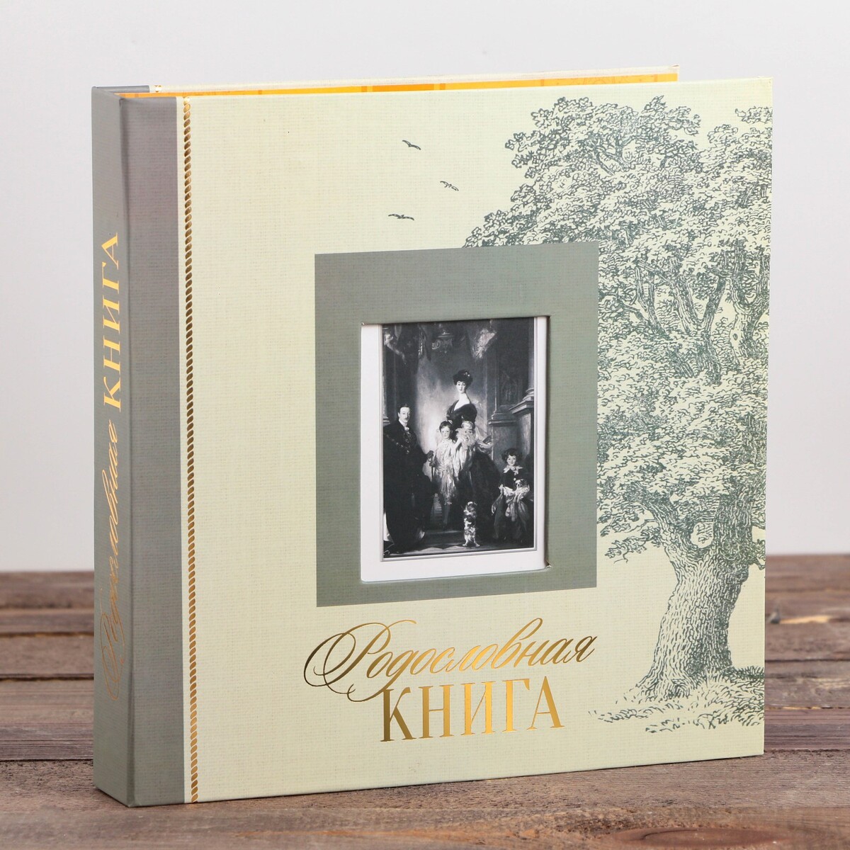 Родословная книга с рамкой под фото семья кайзера пять лет в семье германского принца воспоминания английской гувернантки
