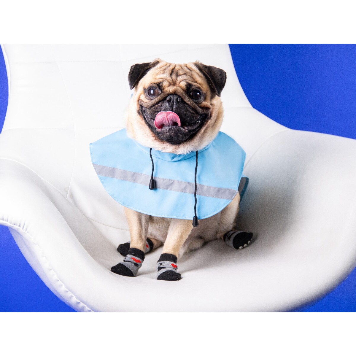 Дождевик для собак, размер xs (дс 15-20, ог 17-22, ош 13-17 см), голубой квакающий мяч для собак жесткий 7 5 см голубой