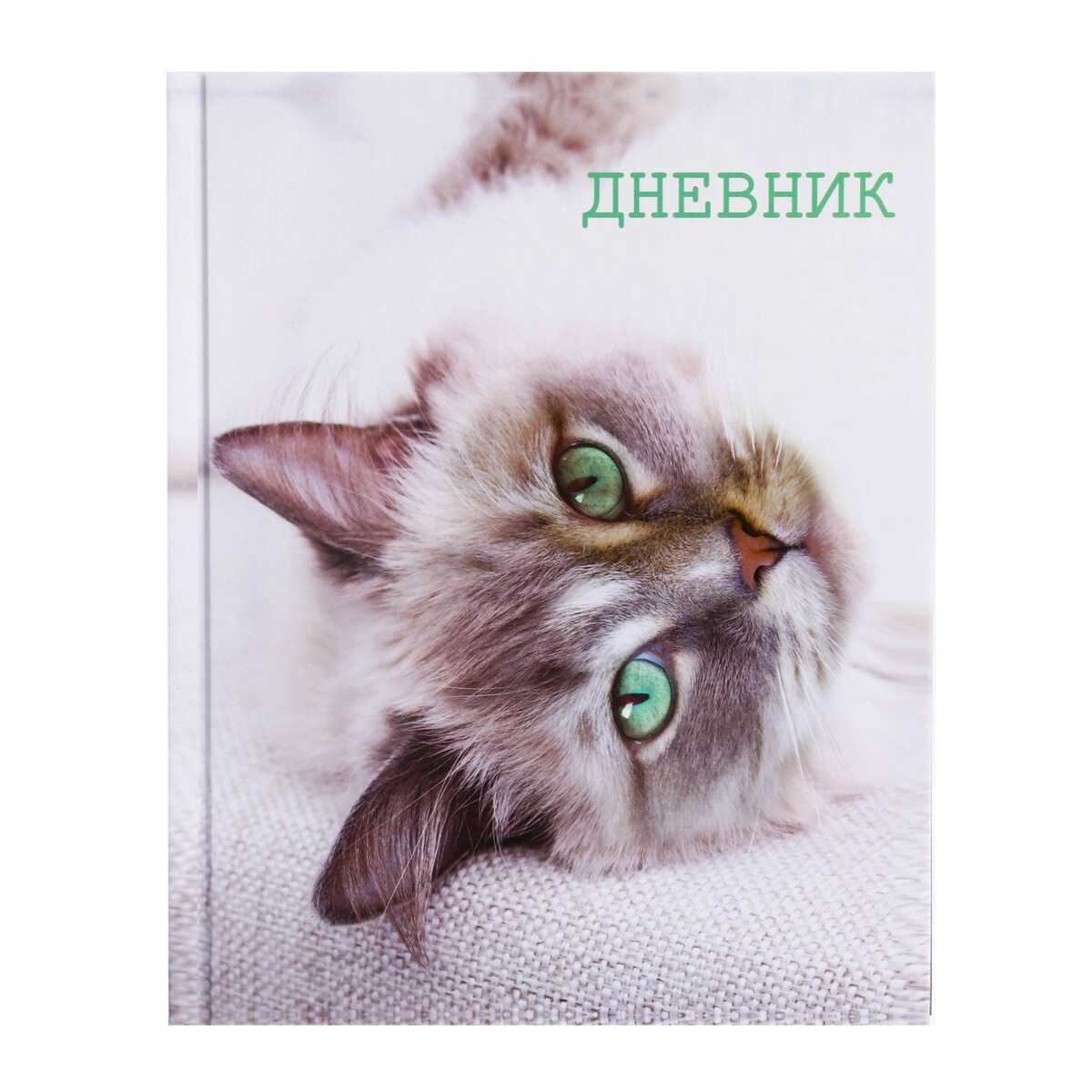 

Дневник для 5-11 классов,, Белый