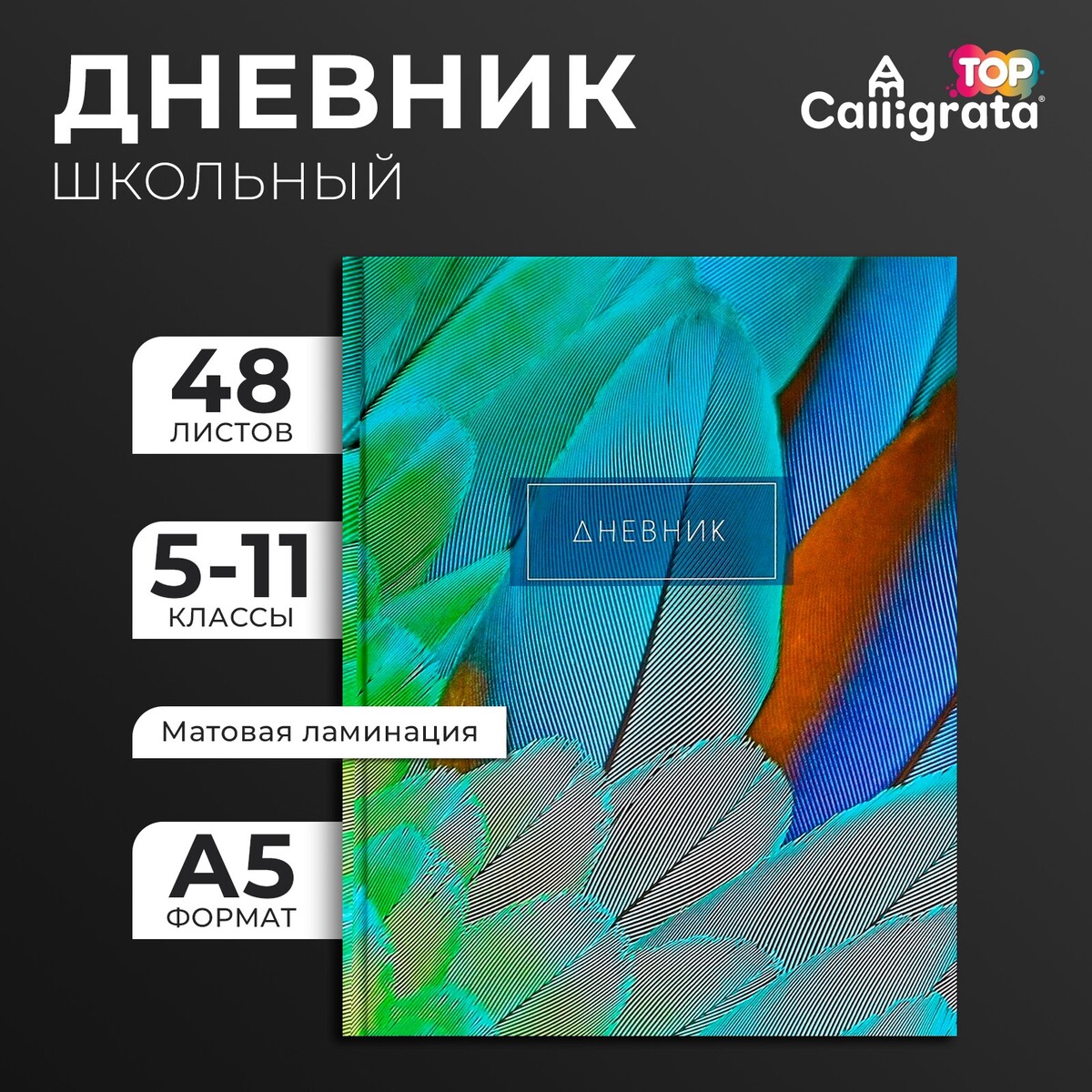 

Дневник для 5-11 классов,, Разноцветный