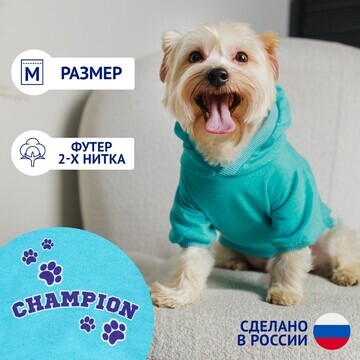 Толстовка champion для собак (футер), ра