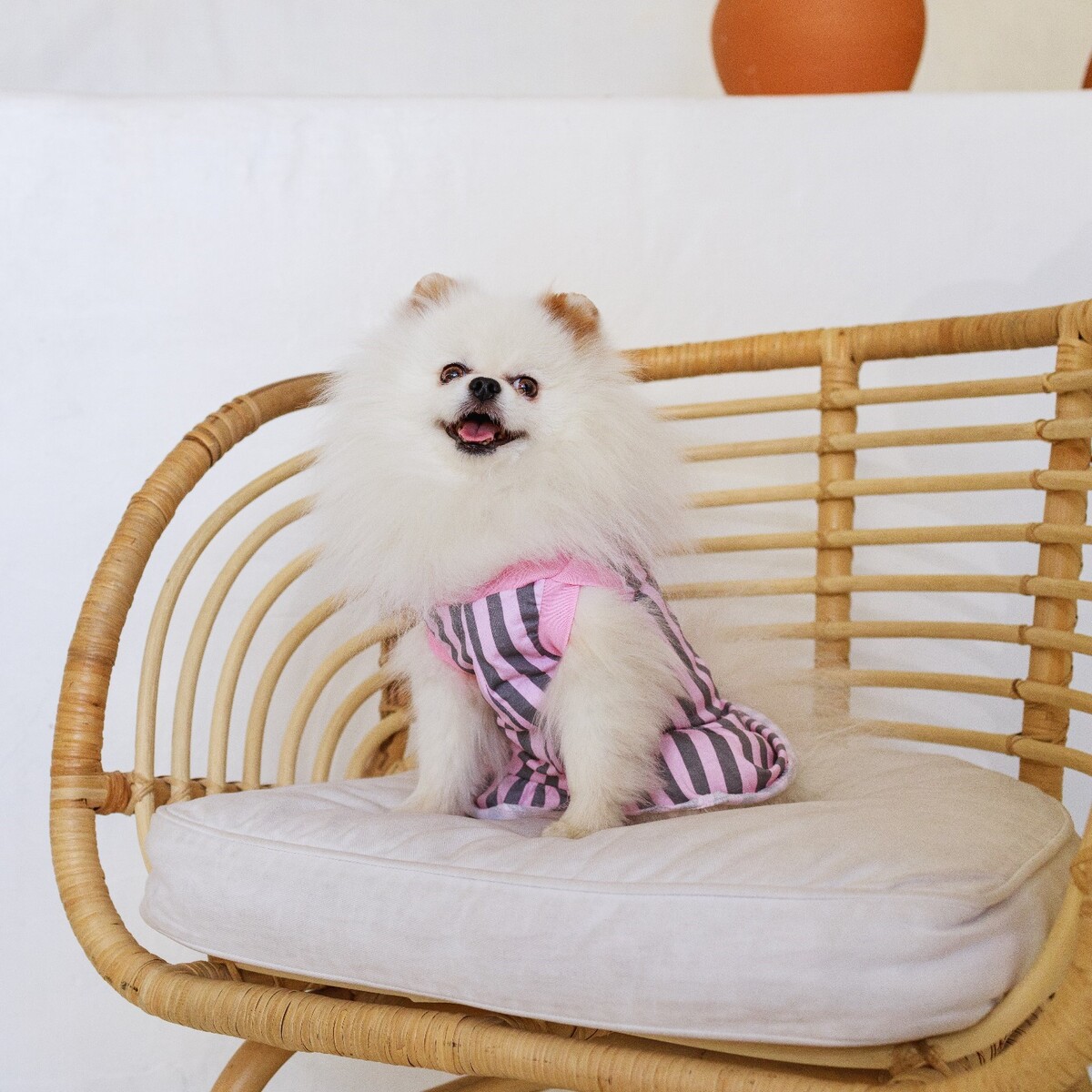 фото Платье для собак кулирка, xs (дс 24, ош 32-36, ог 34-38), розовое с серыми полосками пушистое счастье