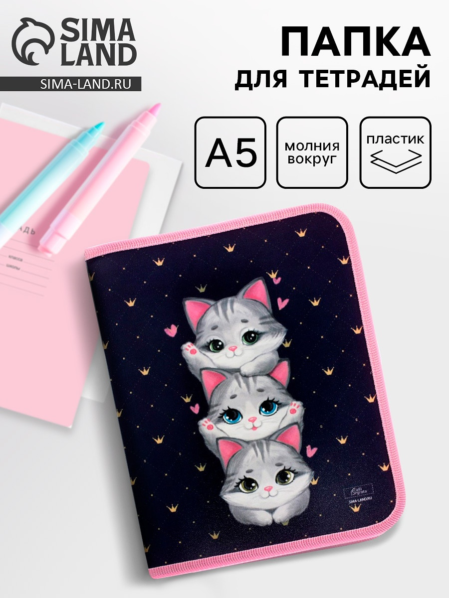 

Папка для тетрадей, а5, пластиковая, 18×23×2.5 см, Синий;розовый