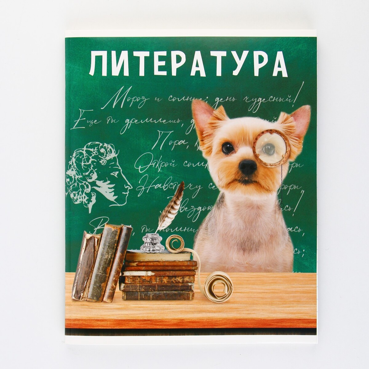Мат В Литературе
