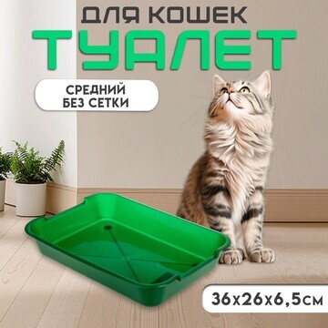 Туалет средний без сетки 36 х 26 х 6,5 с