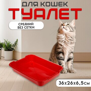 Туалет средний без сетки 36 х 26 х 6,5 с