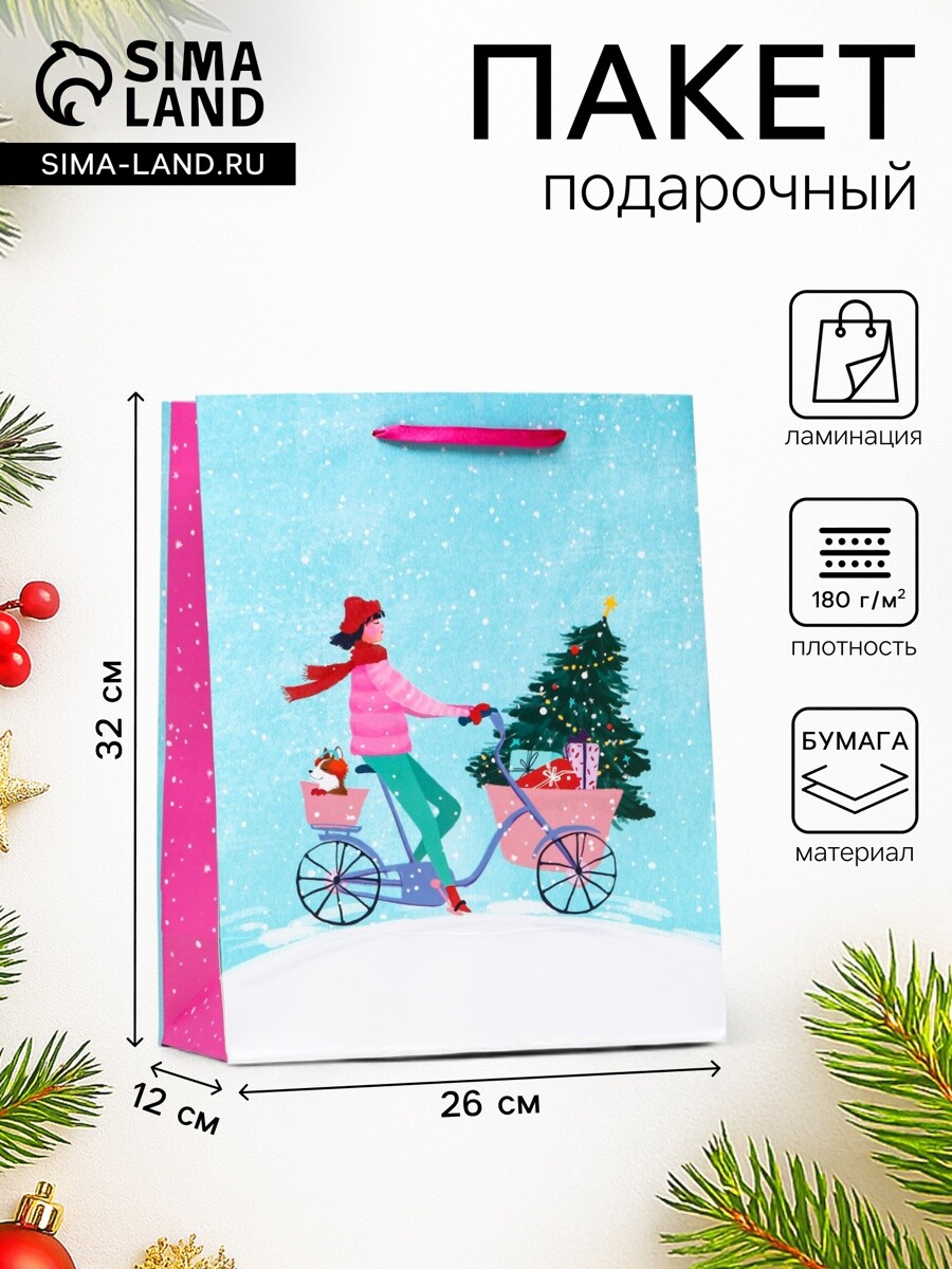 

Пакет подарочный новогодний ламинированный, Разноцветный