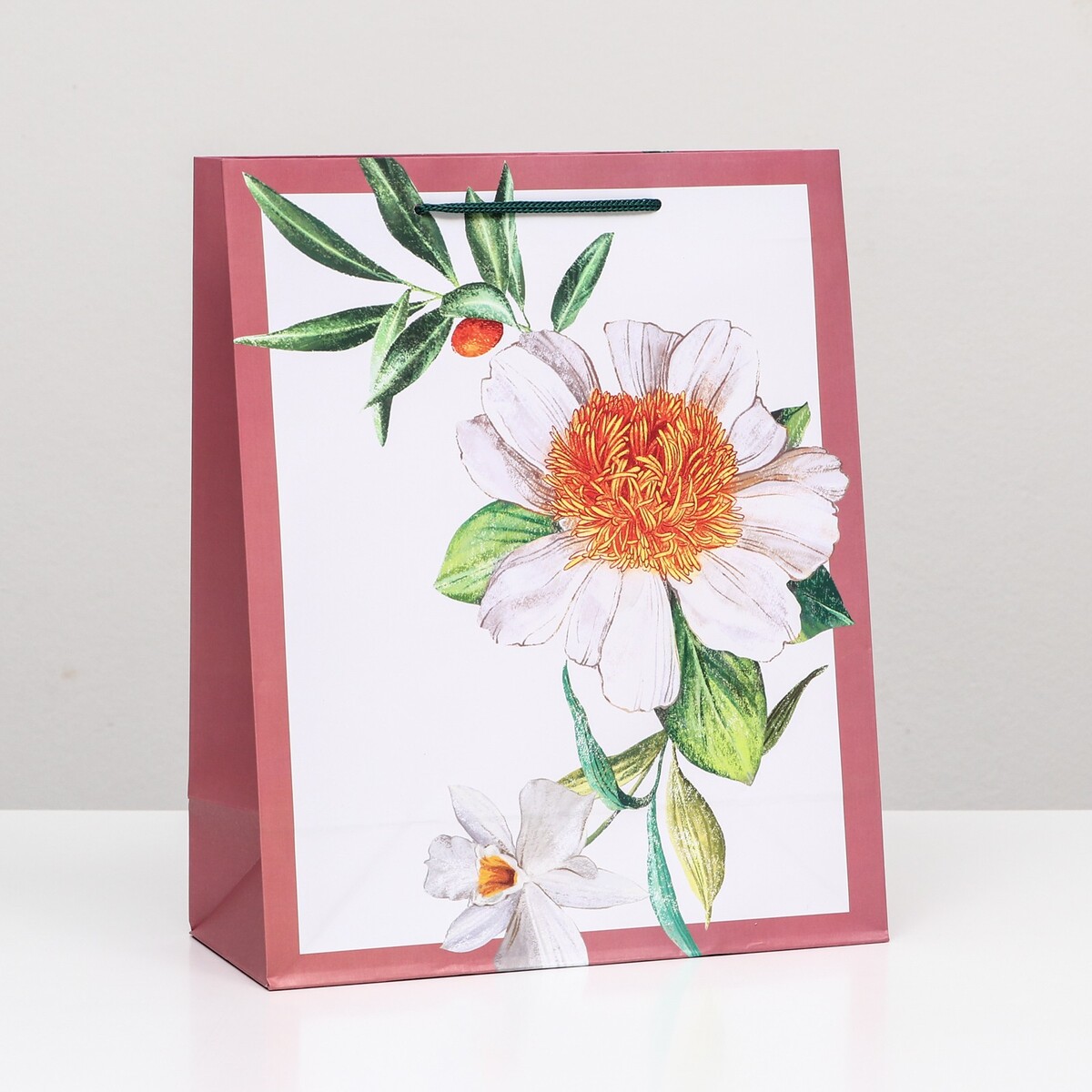 

Пакет подарочный, Разноцветный