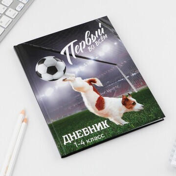 Дневник школьный 1-4 класс