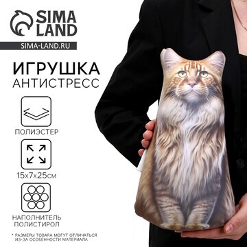 Антистресс игрушка, кот