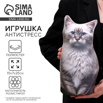 Антистресс игрушка, кот