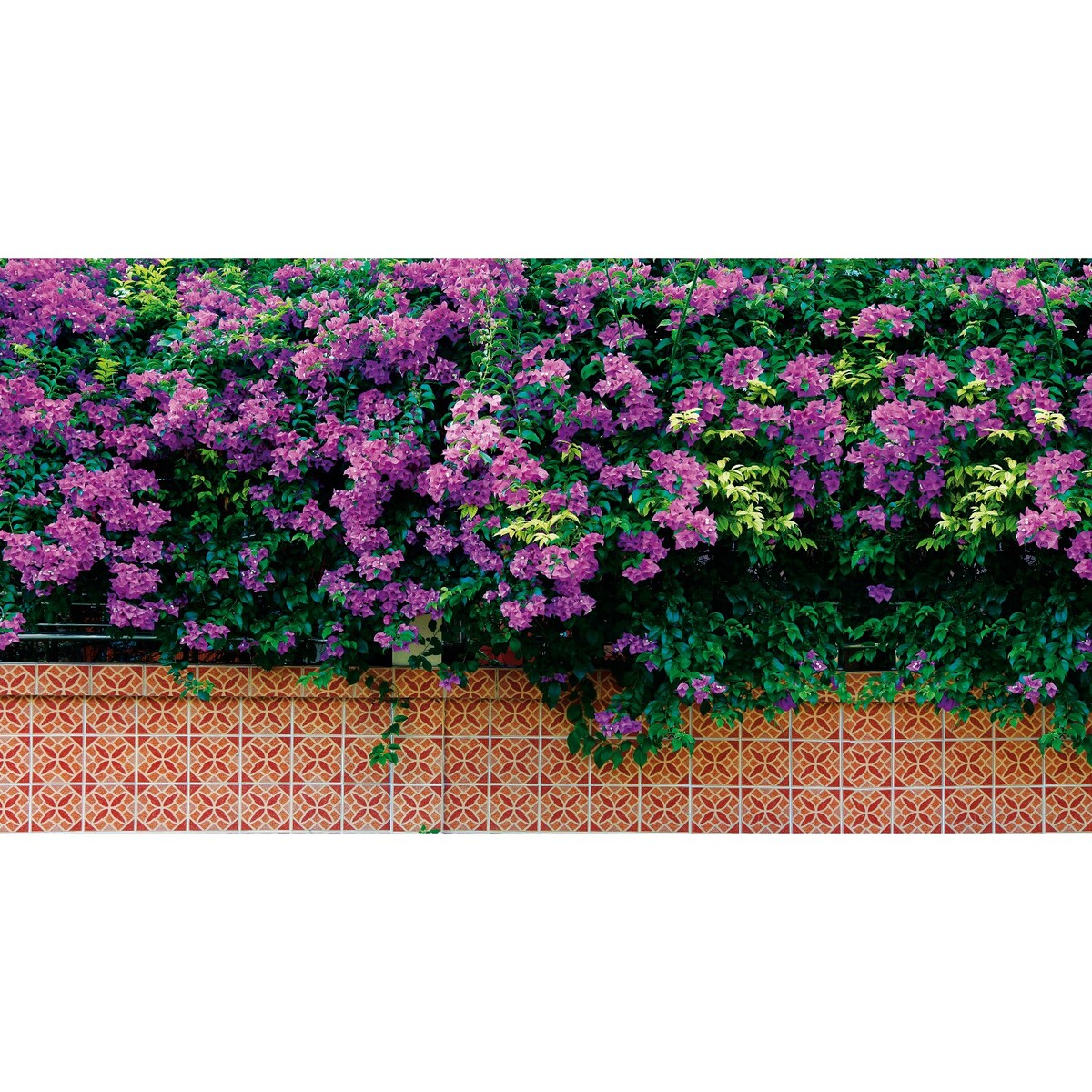 

Фотобаннер, 250 × 150 см, с фотопечатью, люверсы шаг 1 м,, Фиолетовый
