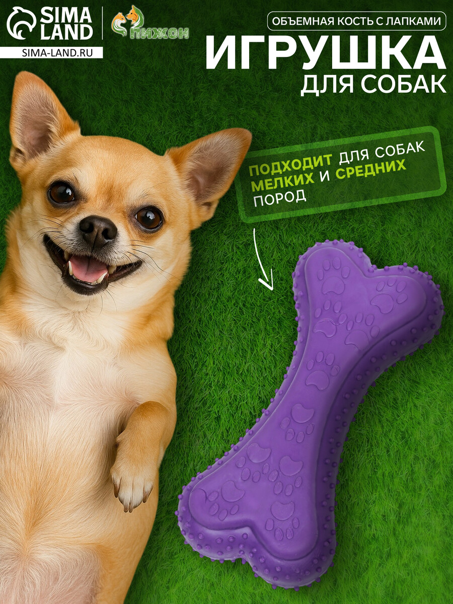 

Игрушка жевательная, Фиолетовый