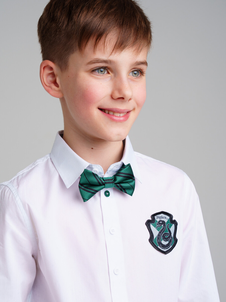 Галстук для мальчика. Школьный образ для мальчика. Детская одежда зеленая бабочка галстук для мальчика. Комплект галстук и бабочка для школы. Галстук для мальчика купить