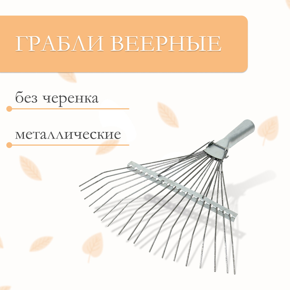 

Грабли веерные, проволочные, 18 зубцов, оцинкованные, без черенка