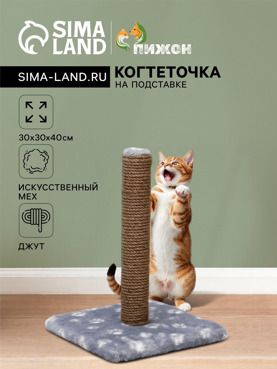 

Когтеточка, Серый