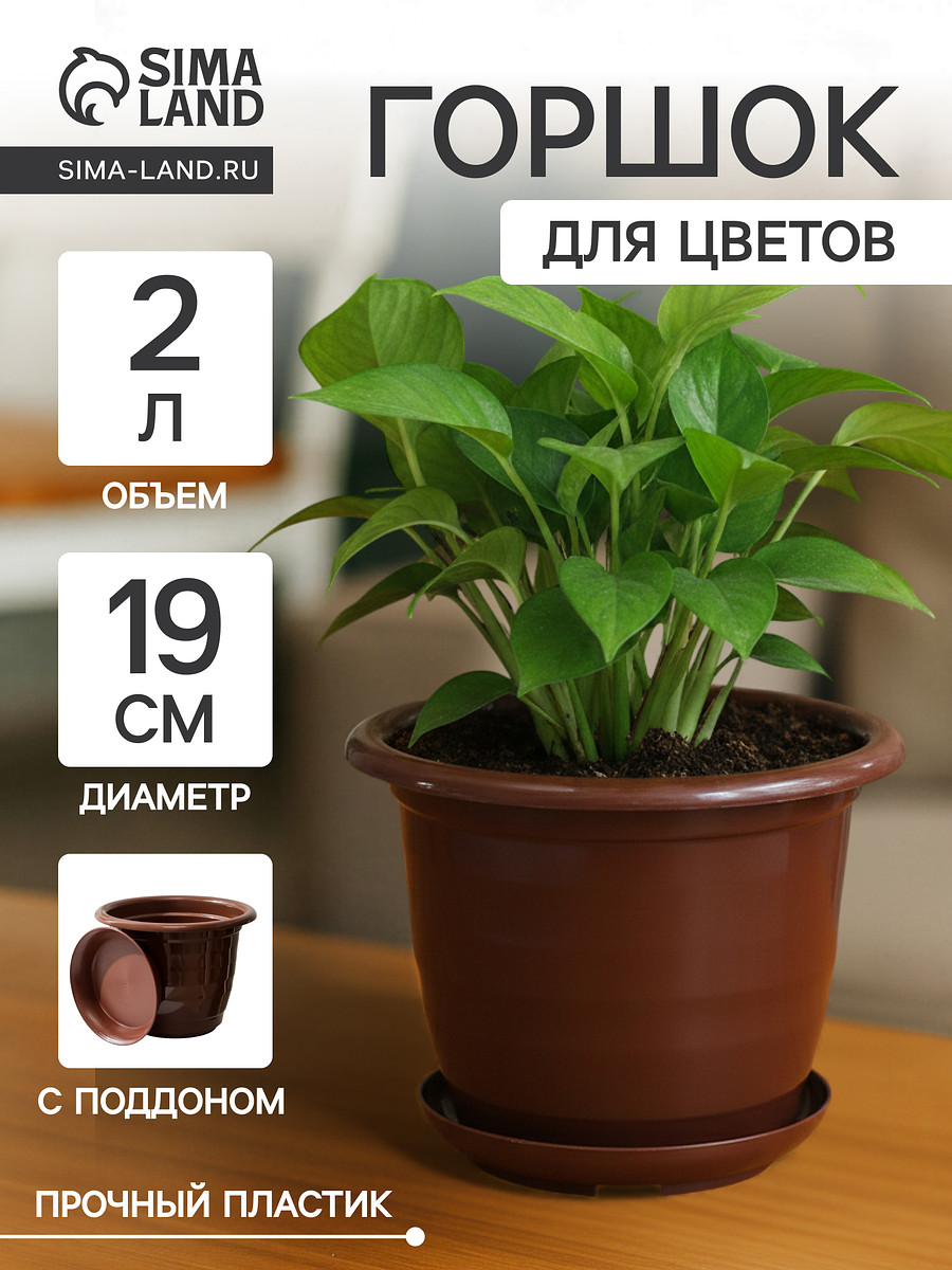 

Горшок для цветов с поддоном доляна, Коричневый