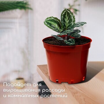 Горшок для рассады, 10 л, d = 29 см, h =