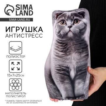 Антистресс игрушка, кот