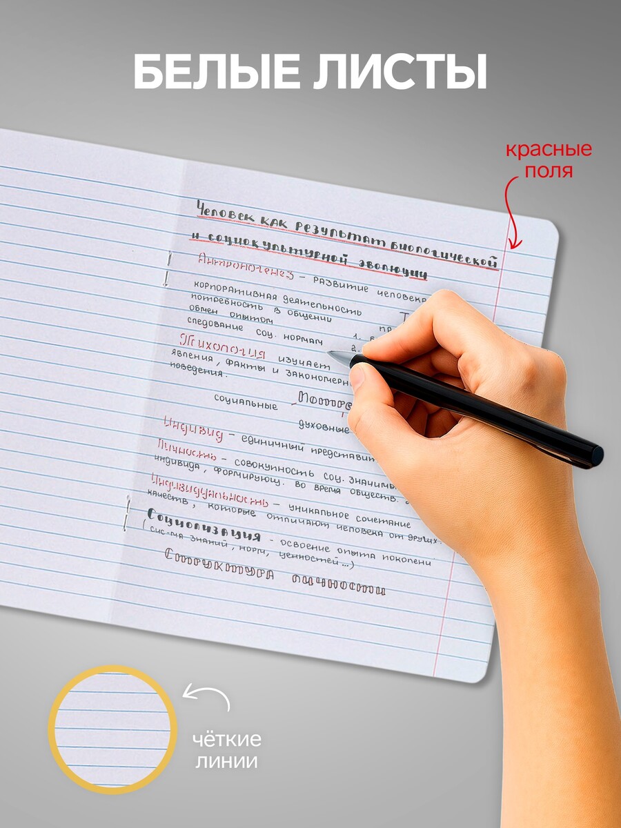 

Набор тетрадей 12 листов в линейку calligrata