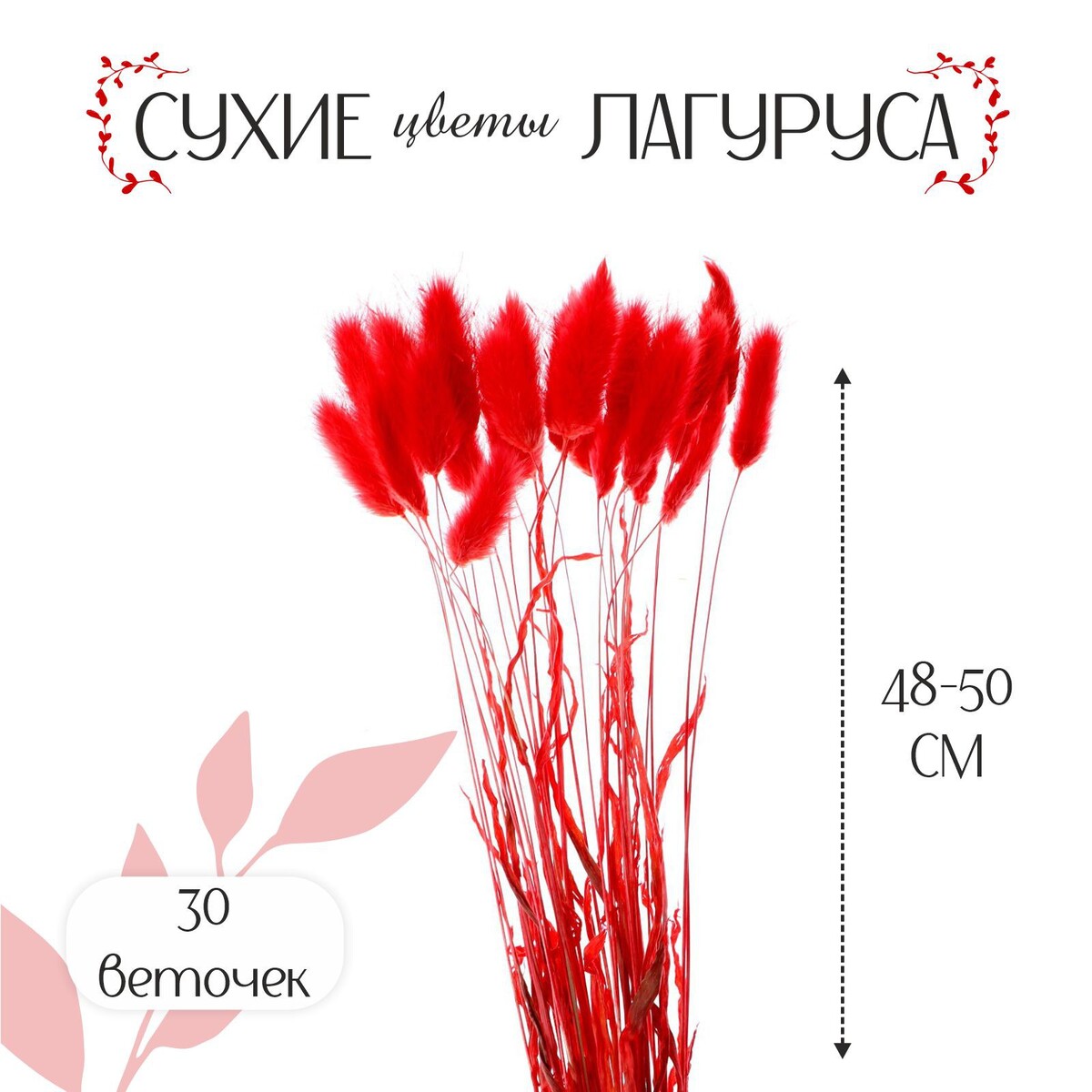 Сухие цветы лагуруса, набор 30 шт., цвет красный