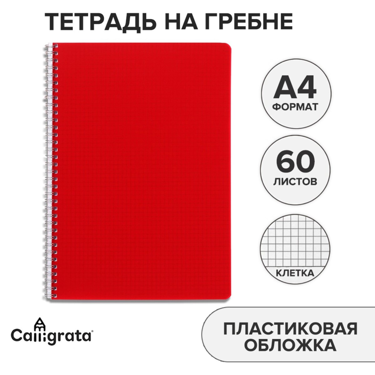 Тетрадь на гребне a4 60 листов в клетку calligrata красная, пластиковая обложка, блок офсет