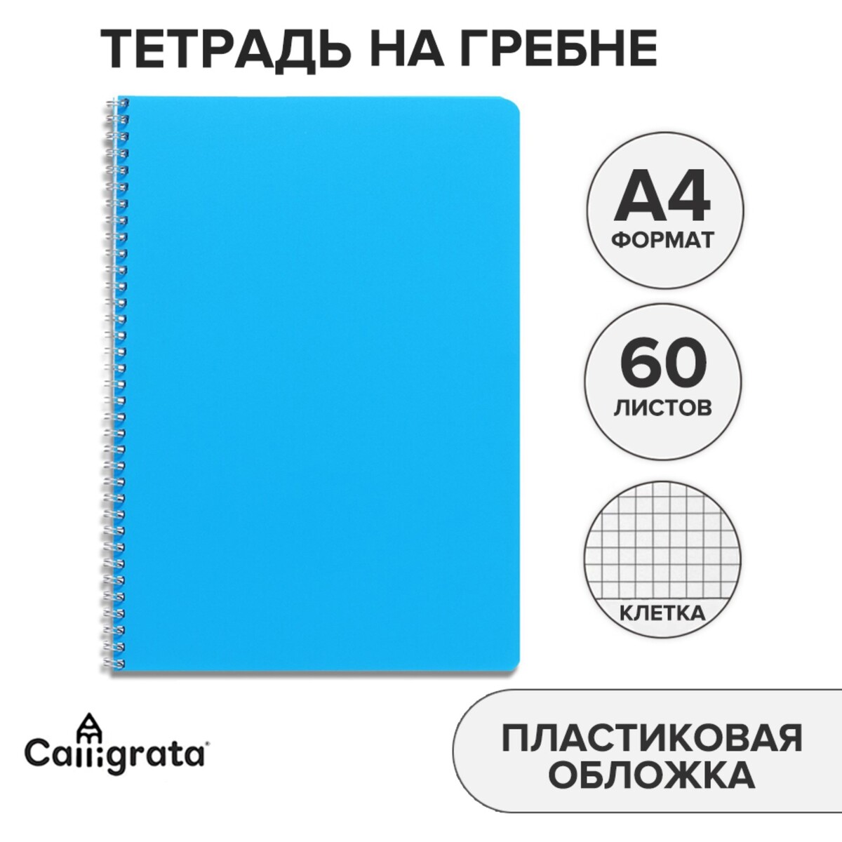 Тетрадь на гребне a4 60 листов в клетку calligrata голубая, пластиковая обложка, блок офсет