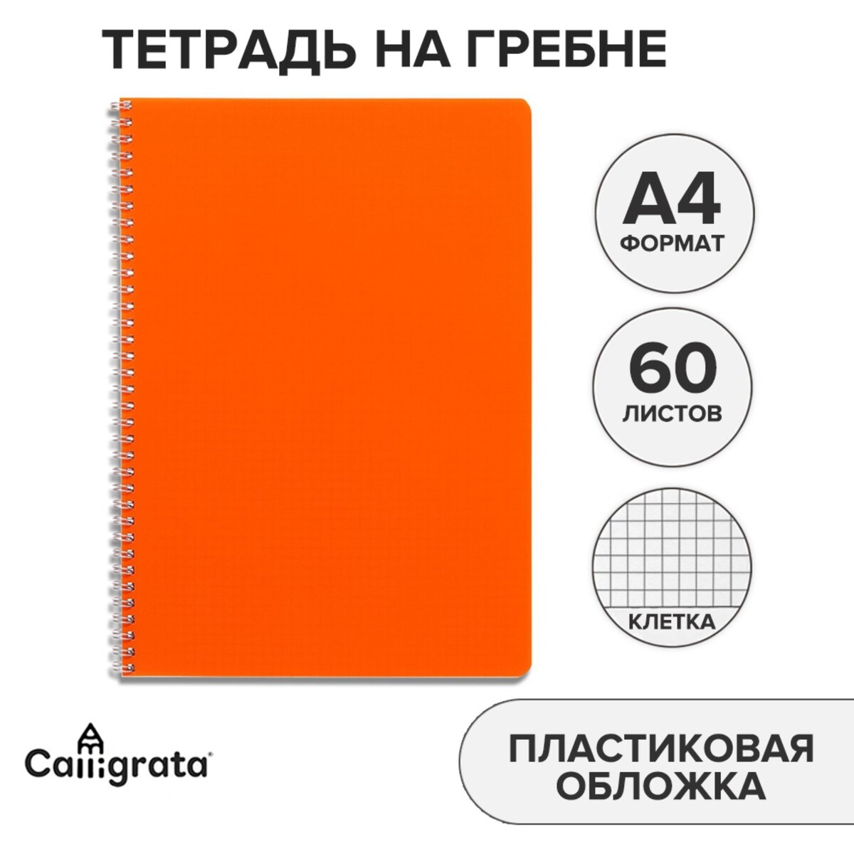 Тетрадь на гребне a4 60 листов в клетку calligrata оранжевая, пластиковая обложка, блок офсет