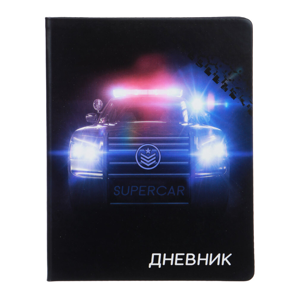 

Дневник школьный