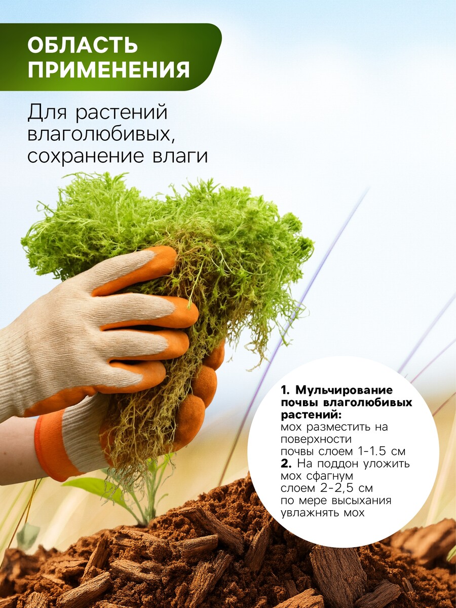 

Мох сфагнум