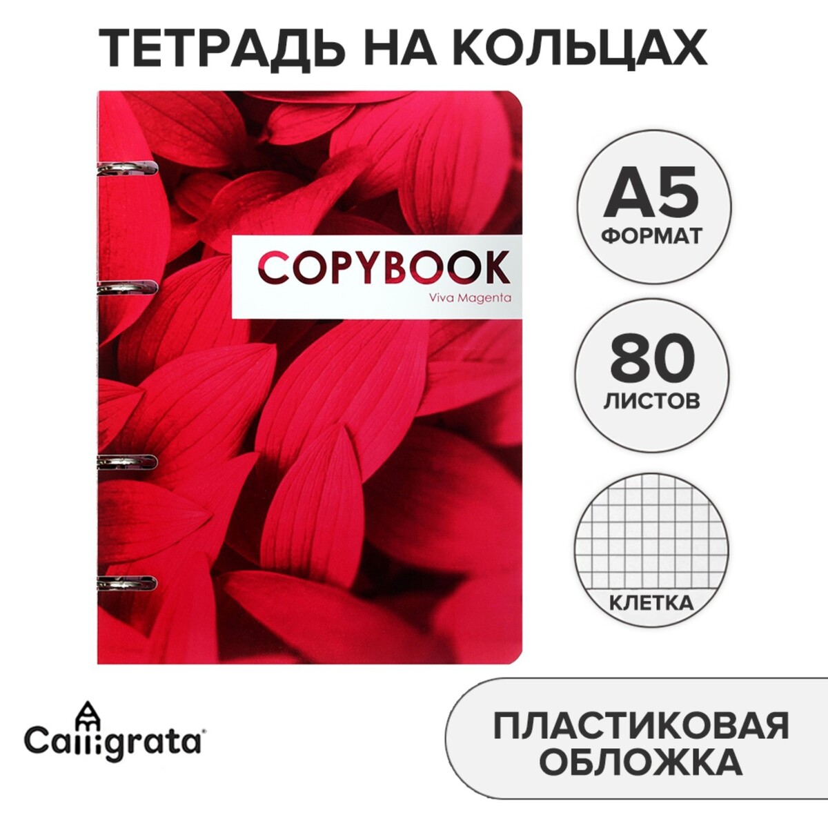 фото Тетрадь на кольцах, в клетку, 80 листов coopybook. vivamagenta, пластиковая обложка, блок офсет calligrata