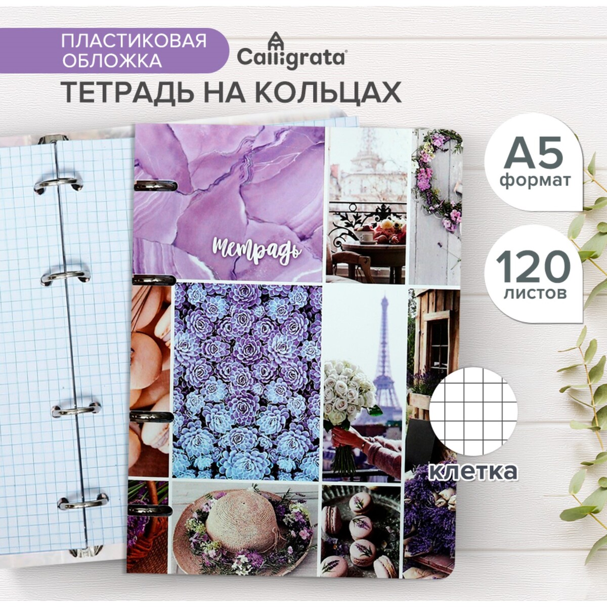 

Тетрадь на кольцах a5 120 листов в клетку calligrata, Микс;фиолетовый;белый