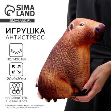 Антистресс игрушка