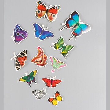 Бабочки картон Арт Узор