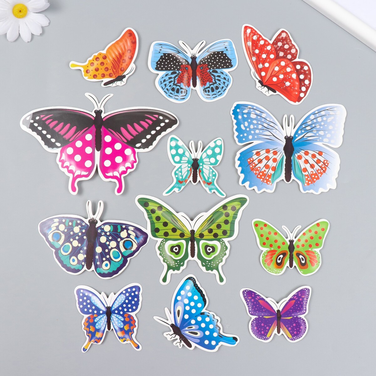 Купить бабочки с доставкой. Бабочка на картоне. Бабочка из картона. Бабочки из картона большие. Бабочки з картона для занятий в старшей группе.