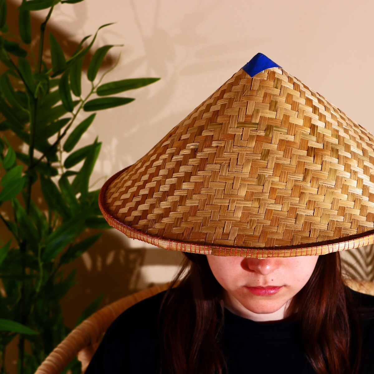 Bamboo hat. Бамбуковая шляпа. Шляпа из бамбука. Большая бамбуковая шляпа. Японская бамбуковая шляпа.