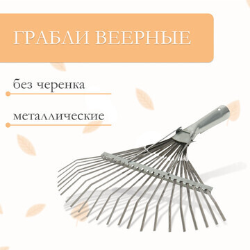 Грабли веерные, пластинчатые, 22 зубца, 