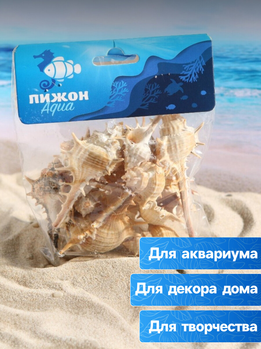 

Набор ракушек мурекс трапа, 100 г, Бежевый