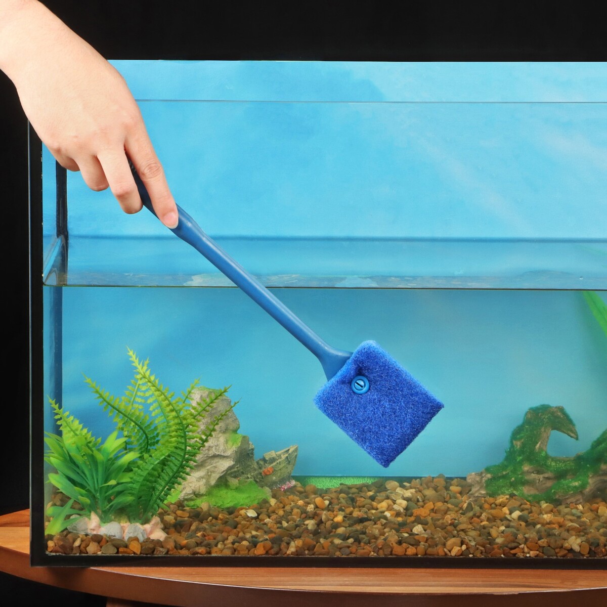 Скребок для аквариума двусторонний, 40 см, синий скребок для чистки языка
