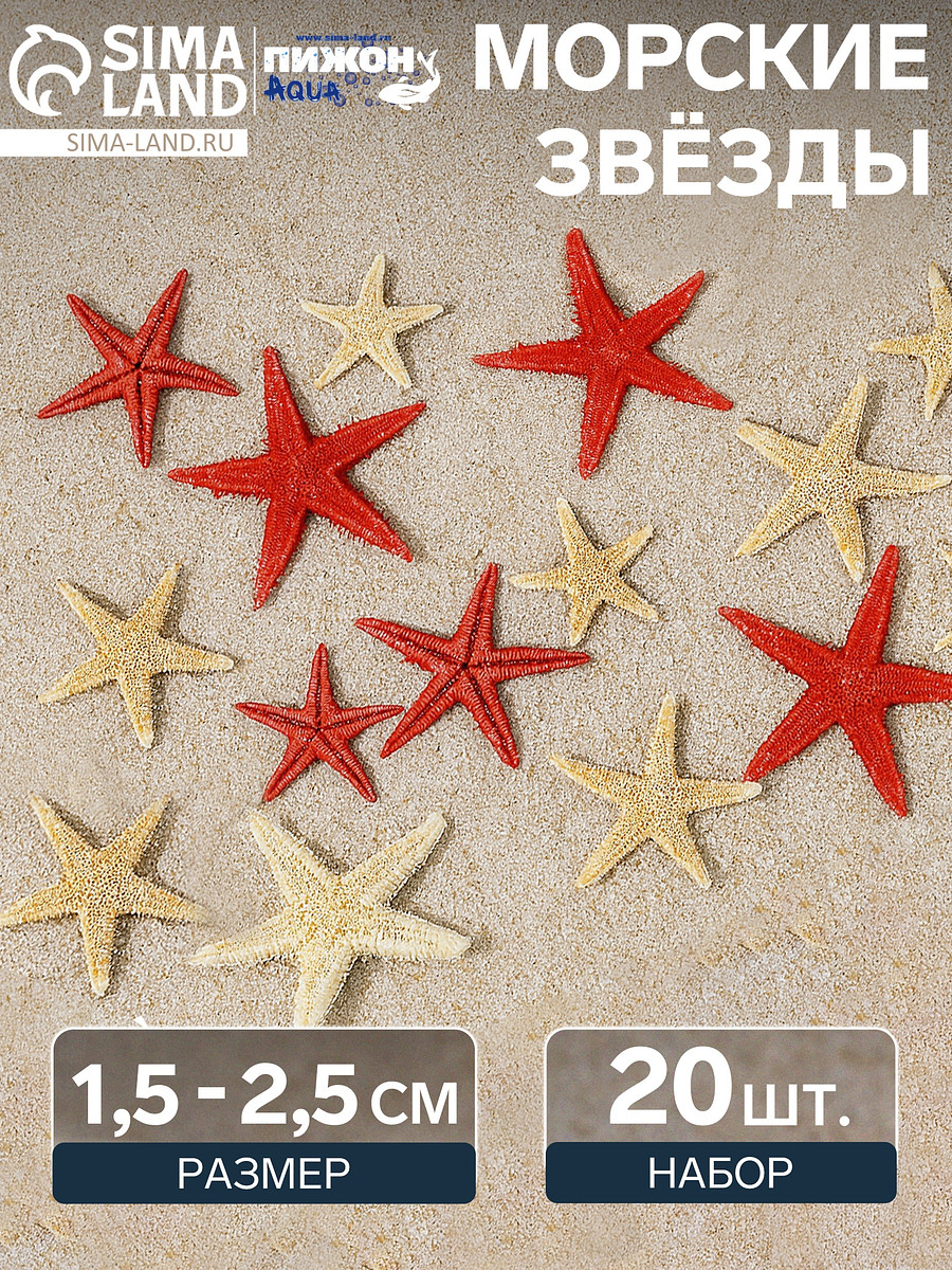 

Набор натуральных морских звезд, 1.5 - 2.5 см, 20 шт., красные - белые, Белый;красный
