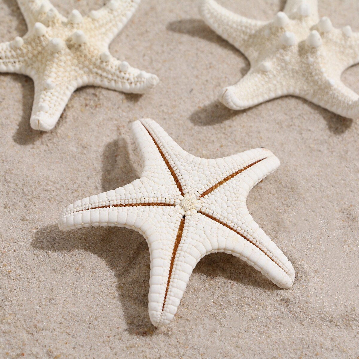 Набор из 3 морских звезд, размер каждой 5-10 см, белые Пижон Аква, цвет белый 05587685 - фото 4
