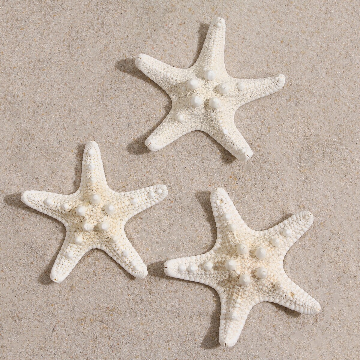 Набор из 3 морских звезд, размер каждой 5-10 см, белые Пижон Аква, цвет белый 05587685 - фото 2