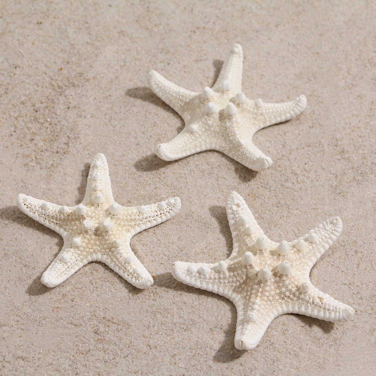Набор из 3 морских звезд, размер каждой 5-10 см, белые Пижон Аква