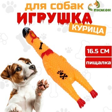 Игрушка пищащая Пижон