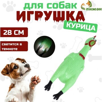 Игрушка пищащая Пижон